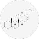 Beta-Sitosterol Beta-Sitosterol